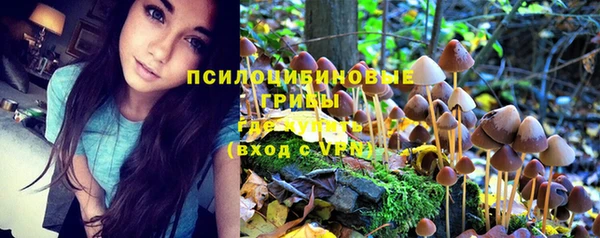 гашишное масло Богородицк
