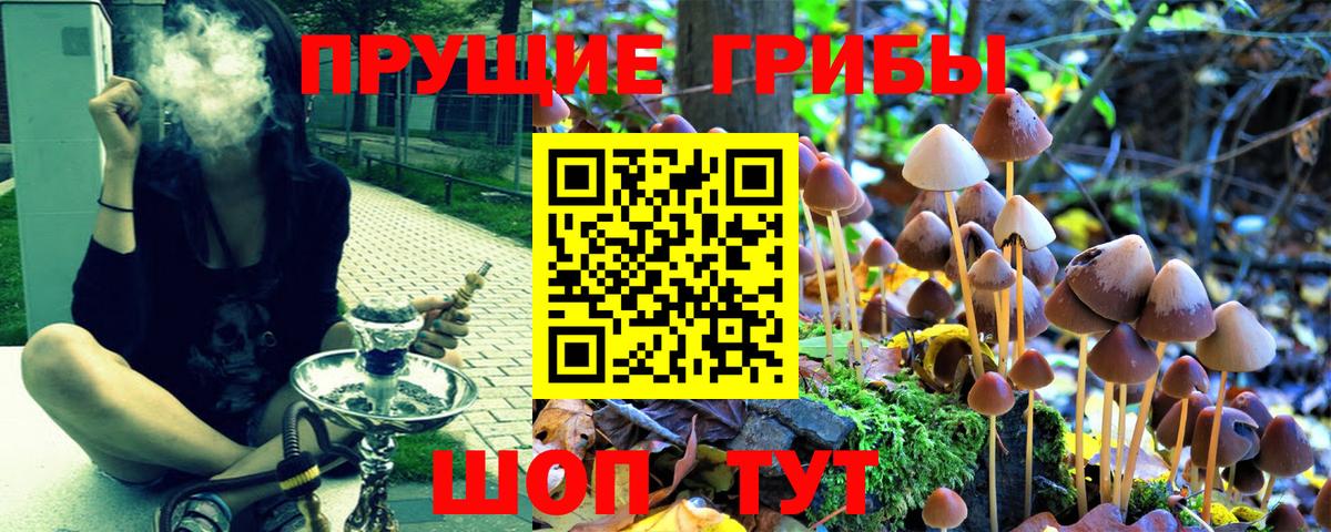 Псилоцибиновые грибы мухоморы Белебей